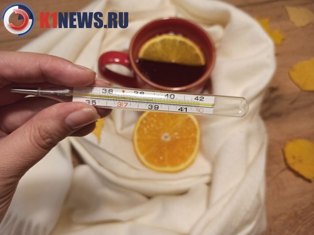 Фото 45 — Новости Костромы: эпидемия гриппа